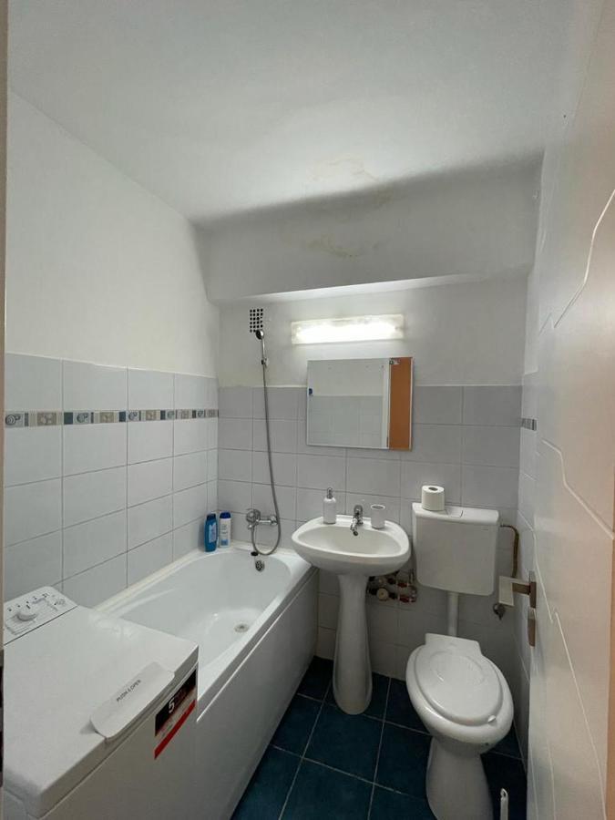 Bega Circumvalatiunii 1 Room Apartament - 2 Timişoara Eksteriør billede